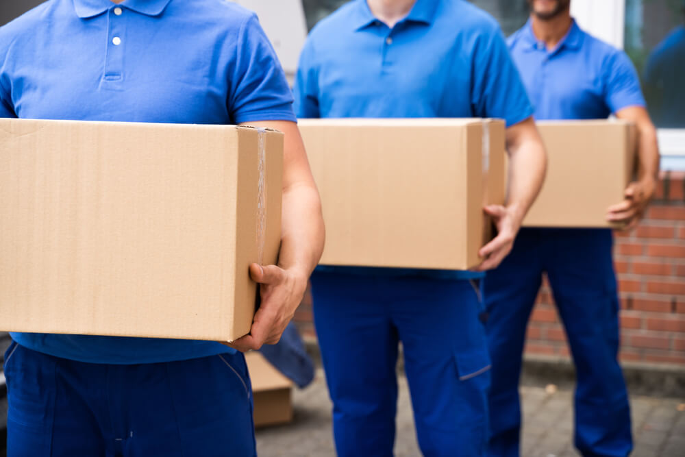 Professional Movers In Elizabeth